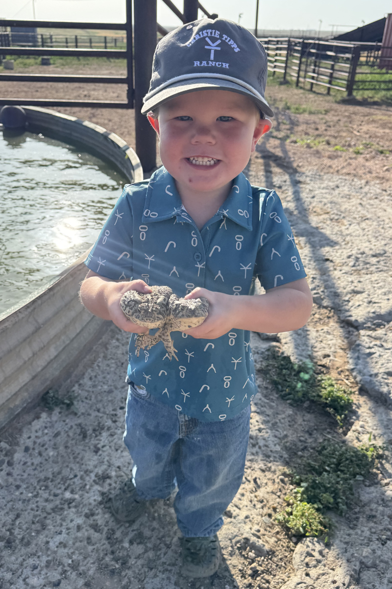 Mini Cattleman Polo