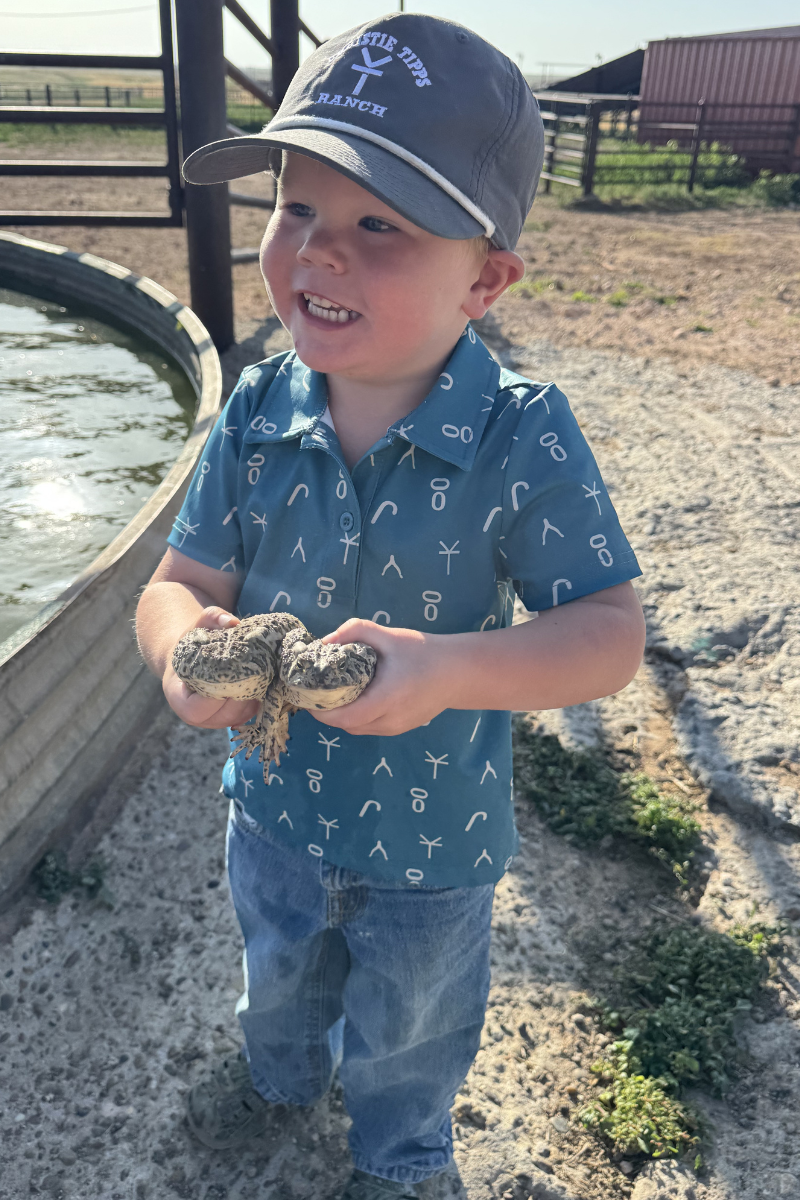Mini Cattleman Polo