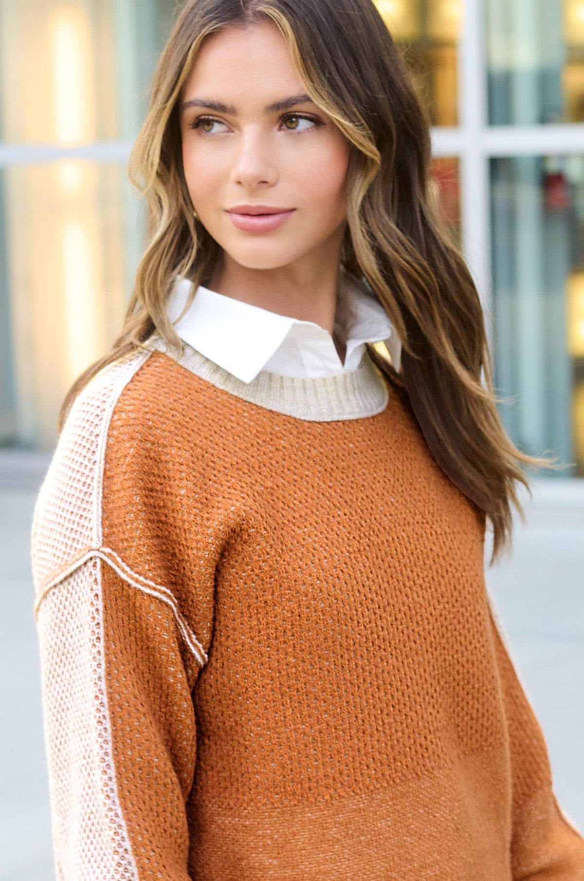 Color Block Round Neck Sweater